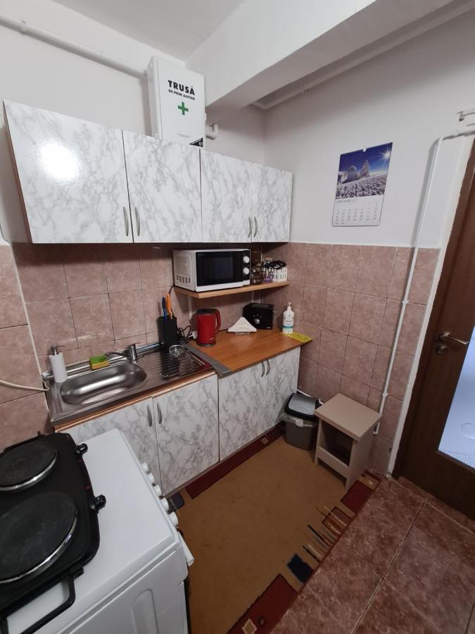 Vigaro Vgr Daire Braşov Dış mekan fotoğraf
